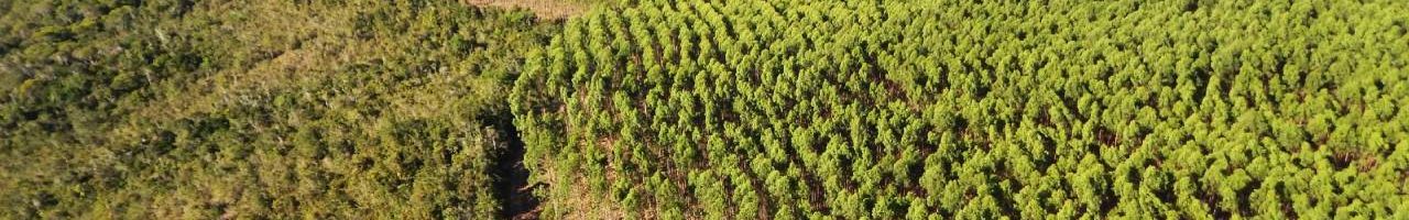 Bracell-e-reconhecida-pela-primeira-vez-no-Premio-Expressao-de-Ecologia