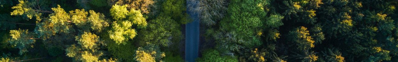 Ecoo-Banner-Site